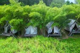 Tour 2N1Đ: Khám phá Trúc Lâm Phụng Thùy Sơn - Memento Countryside - Trầm Hương Hoàng Trầm - Làng Nhỏ